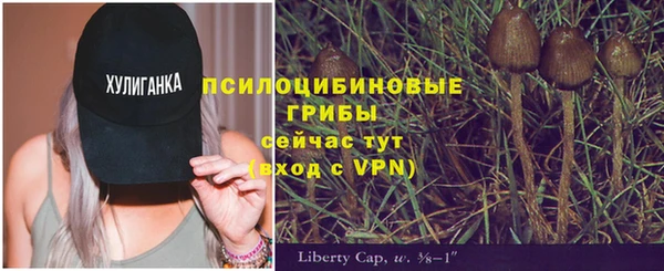 метамфетамин Богданович