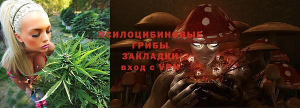 СК Богородицк