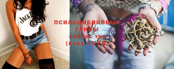 прущий лед Богородск